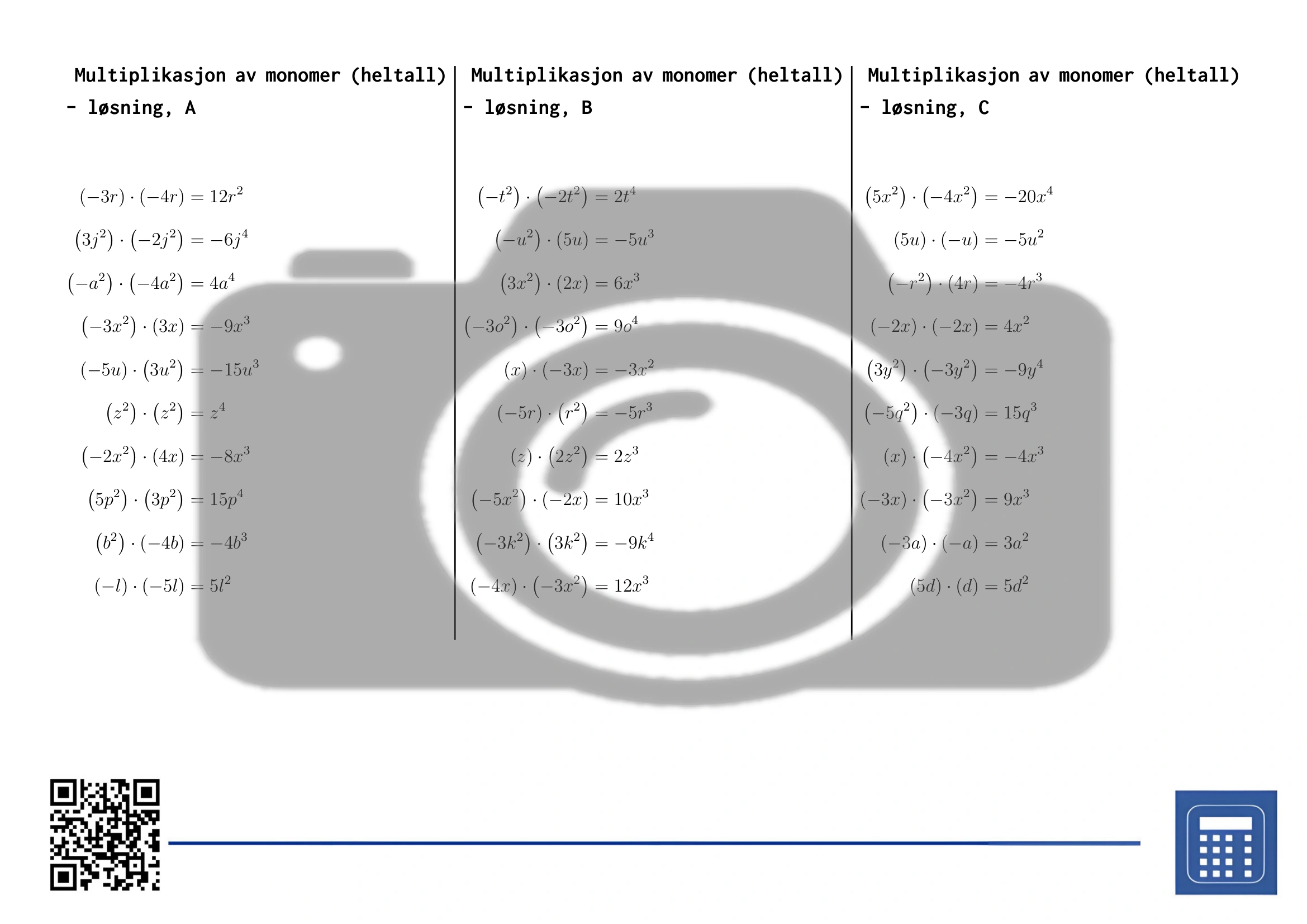 Arbeidsark: Multiplikasjon av monomer (heltall) - Bilde 4