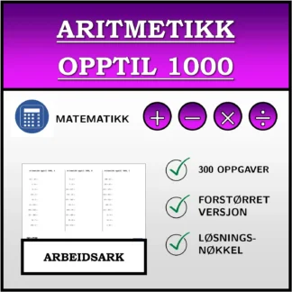Arbeidsark: Aritmetikk opptil 1000