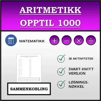 Sammenkoblingsoppgave: Aritmetikk opptil 1000