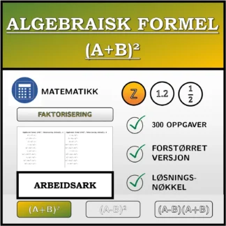 Arbeidsark: Algebraisk formel (A+B)², faktorisering (heltall)