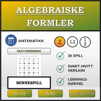 Memoryspill: Algebraiske formler, faktorisering (heltall)
