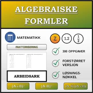 Arbeidsark: Algebraiske formler, faktorisering (heltall)