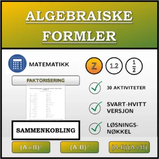 Sammenkoblingsoppgave: Algebraiske formler, faktorisering (heltall)