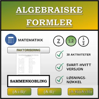 Sammenkoblingsoppgave: Algebraiske formler, faktorisering (desimaltall)