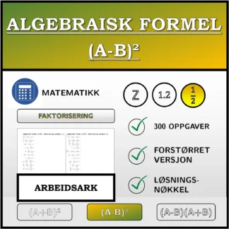 Arbeidsark: Algebraisk formel (A-B)², faktorisering (brøker)