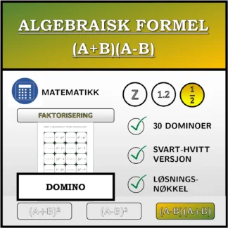 Domino: Algebraisk formel (A+B)(A-B), faktorisering (brøker)