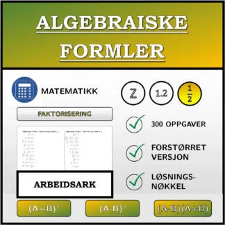 Arbeidsark: Algebraiske formler, faktorisering (brøker)