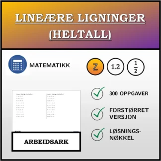 Arbeidsark: Lineære ligninger (heltall)