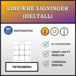 Tetromino: Lineære ligninger (heltall)