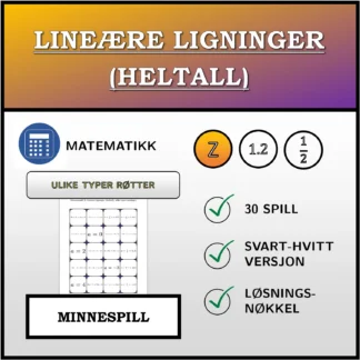 Memoryspill: Lineære ligninger (heltall), ulike typer løsninger