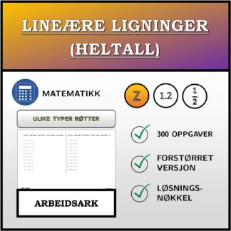 Arbeidsark: Lineære ligninger (heltall), ulike typer løsninger