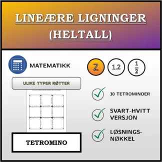 Tetromino: Lineære ligninger (heltall), ulike typer løsninger