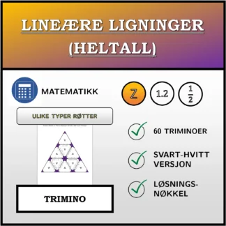 Trimino: Lineære ligninger (heltall), ulike typer løsninger