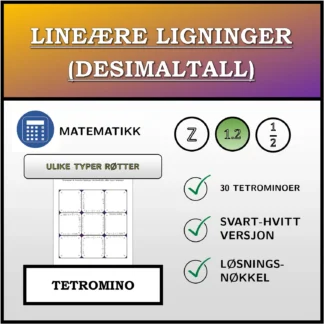 Tetromino: Lineære ligninger (desimaltall), ulike typer løsninger