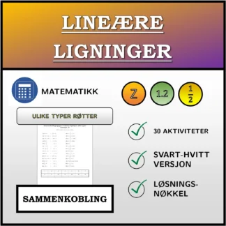 Sammenkoblingsoppgave: Lineære ligninger, ulike typer løsninger