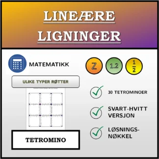 Tetromino: Lineære ligninger, ulike typer løsninger