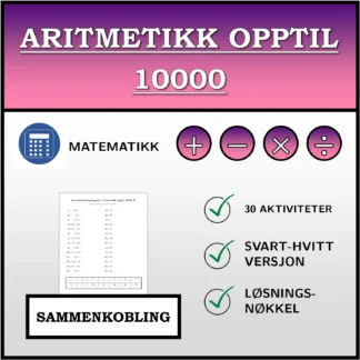 Sammenkoblingsoppgave: Aritmetikk opptil 10000