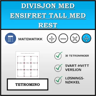 Tetromino: Divisjon med ensifret tall med rest
