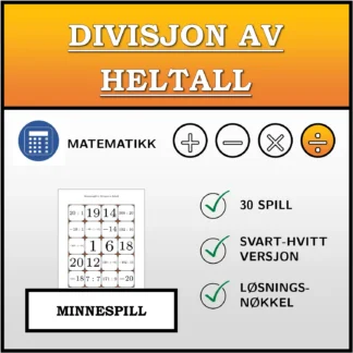 Memoryspill: Divisjon av heltall
