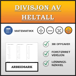 Arbeidsark: Divisjon av heltall