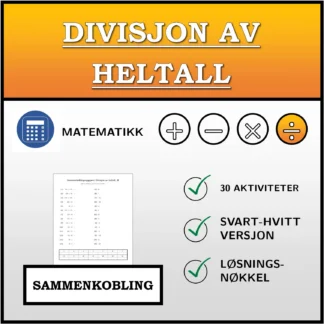 Sammenkoblingsoppgave: Divisjon av heltall