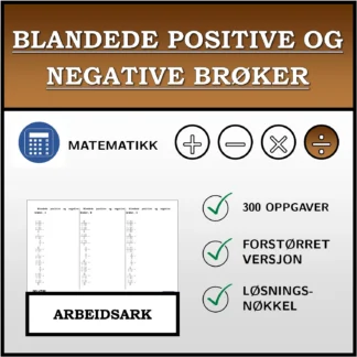 Arbeidsark: Blandede positive og negative brøker