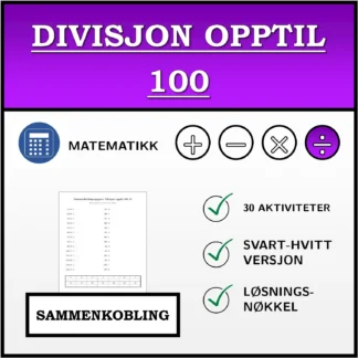 Sammenkoblingsoppgave: Divisjon opptil 100