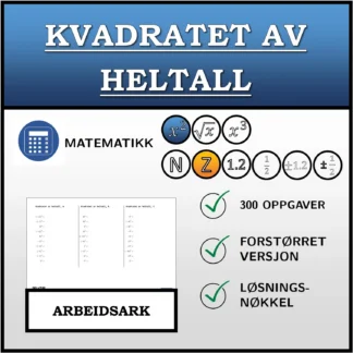 Arbeidsark: Kvadratet av heltall