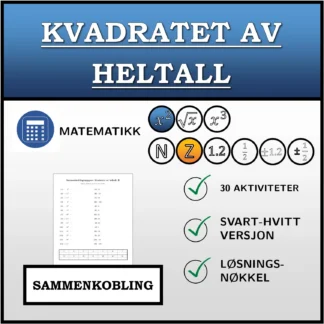 Sammenkoblingsoppgave: Kvadratet av heltall